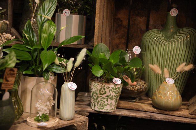 Un parfum de souvenir et de tendresse photo 19